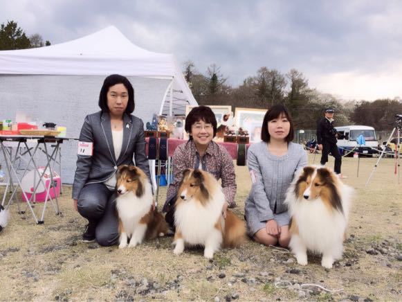 コリークラブ特別展2015_f0126965_18422253.jpg
