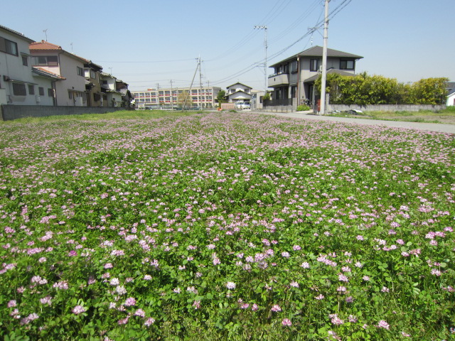 f0200477_7234615.jpg
