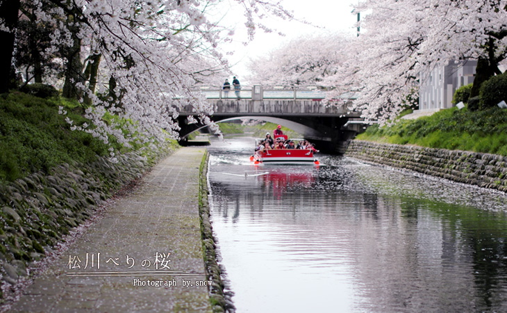 桜巡りに行って来た。Vol.2_f0150682_21442129.jpg
