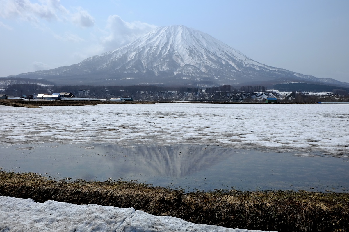 後方羊蹄山－雪解け－_e0051186_214141.jpg