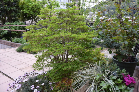 b0230589_12541340.jpg