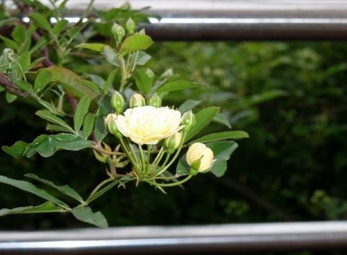 d0318191_16195433.jpg