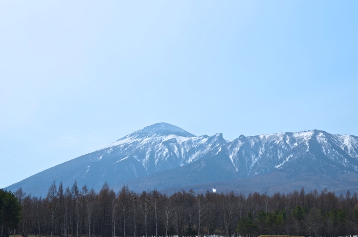 春の作業1_d0077992_816636.jpg