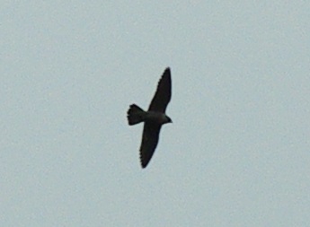 b0028598_19171620.jpg