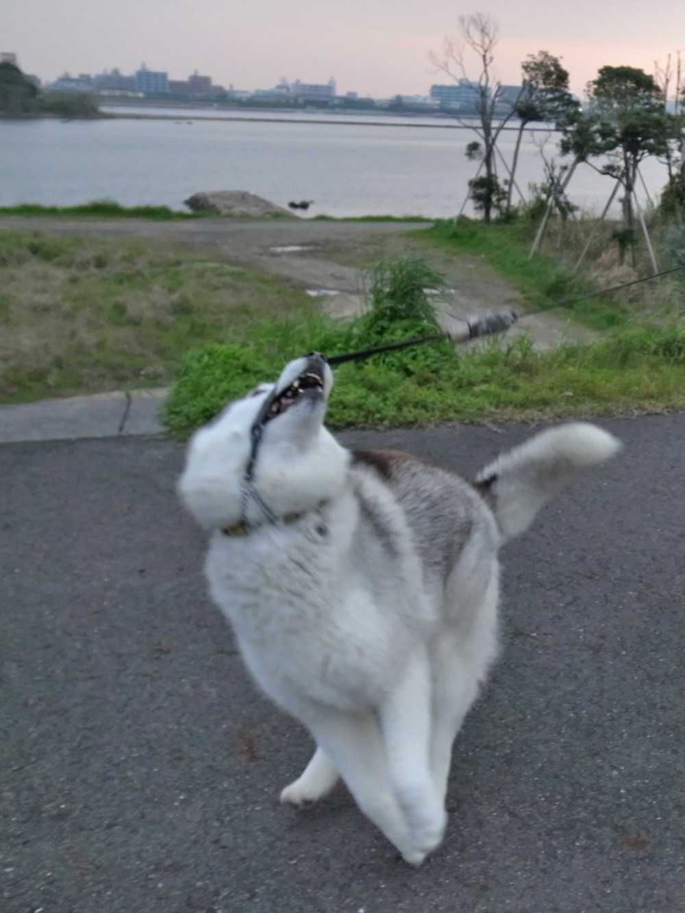 c0049299_2322590.jpg