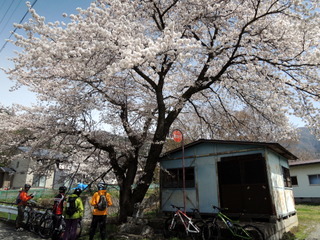 f0326399_10030281.jpg