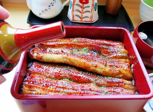 うなぎ亭・友栄_b0083801_1632616.jpg