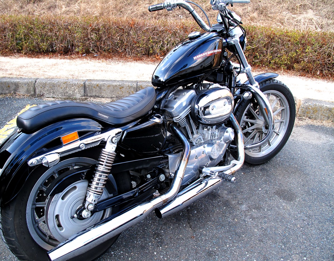 Harley‐Davidson　_a0159702_257598.jpg