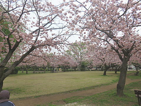 d0046702_547151.jpg