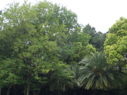 a0315918_21023845.jpg