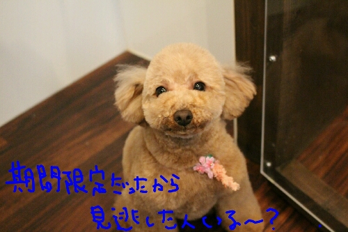 最高♪_b0130018_1410179.jpg