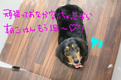 最高♪_b0130018_2037671.jpg