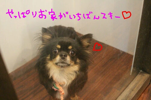 最高♪_b0130018_20393163.jpg