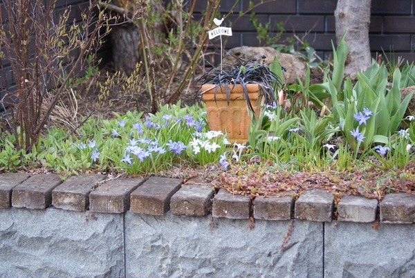 f0170524_20291994.jpg