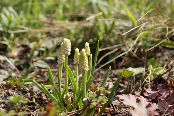 f0170524_20314033.jpg