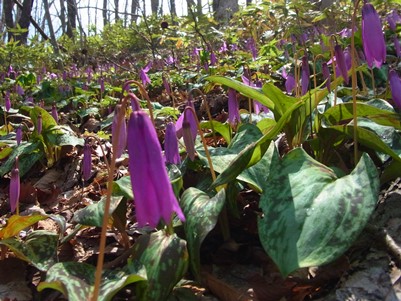 c0204725_231321.jpg
