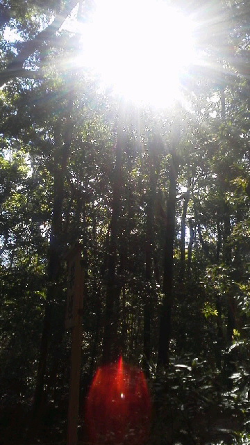a0324226_8592753.jpg
