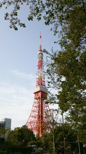 新緑と東京タワー_f0254429_21503140.jpg