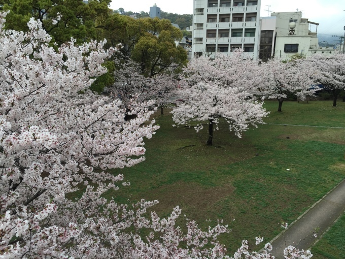 b0311265_14175438.jpg