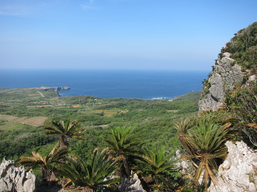 Continue-Northern Okinawa._c0153966_10144373.jpg