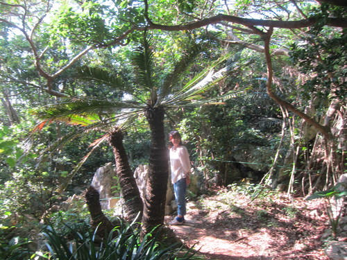 Continue-Northern Okinawa._c0153966_1021262.jpg