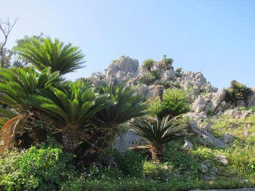 Continue-Northern Okinawa._c0153966_10252462.jpg