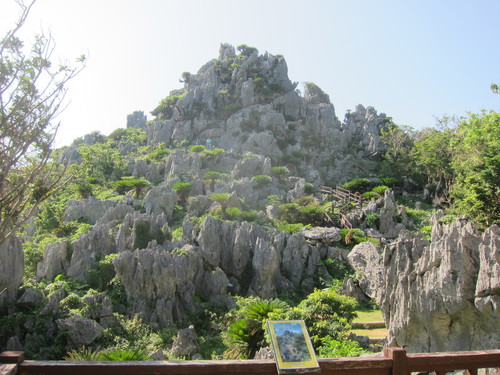Continue-Northern Okinawa._c0153966_1083294.jpg