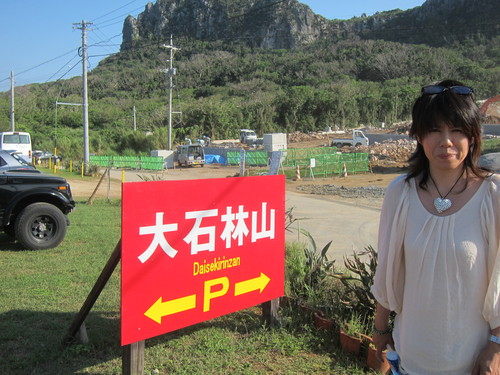 Continue-Northern Okinawa._c0153966_9482756.jpg