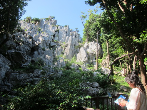Continue-Northern Okinawa._c0153966_9492116.jpg