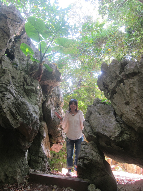 Continue-Northern Okinawa._c0153966_9501395.jpg