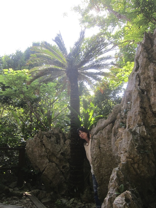 Continue-Northern Okinawa._c0153966_9525243.jpg