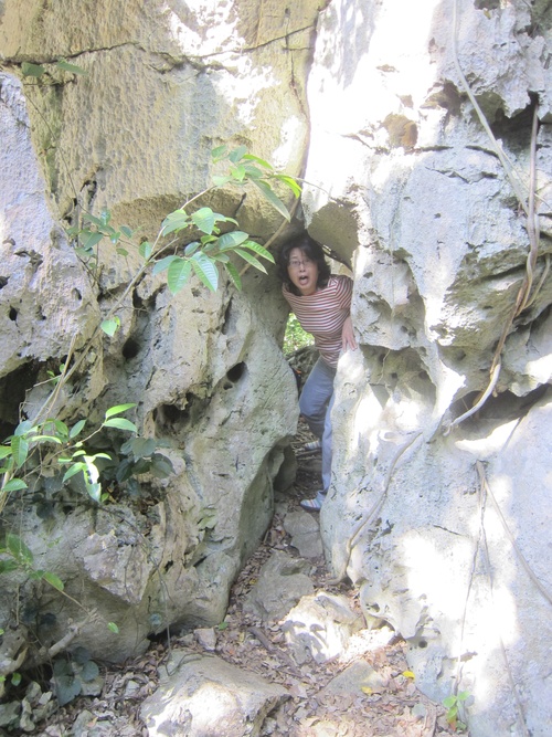 Continue-Northern Okinawa._c0153966_9544353.jpg
