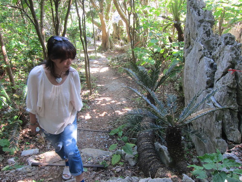Continue-Northern Okinawa._c0153966_955513.jpg