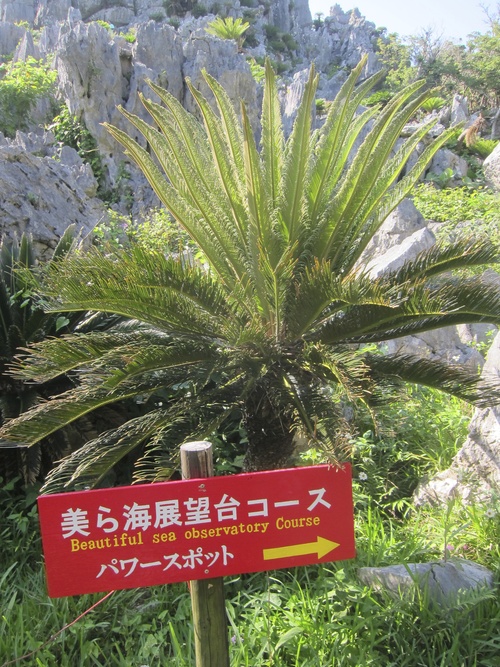 Continue-Northern Okinawa._c0153966_9564242.jpg