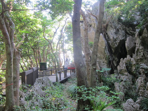 Continue-Northern Okinawa._c0153966_9574589.jpg