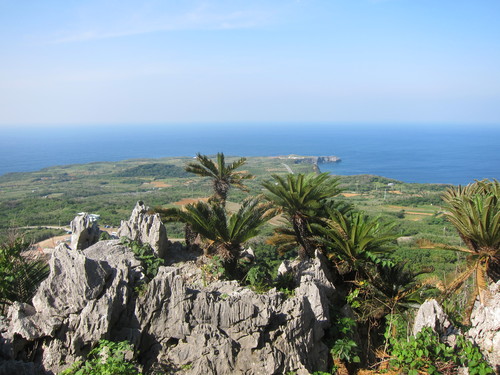 Continue-Northern Okinawa._c0153966_9582153.jpg