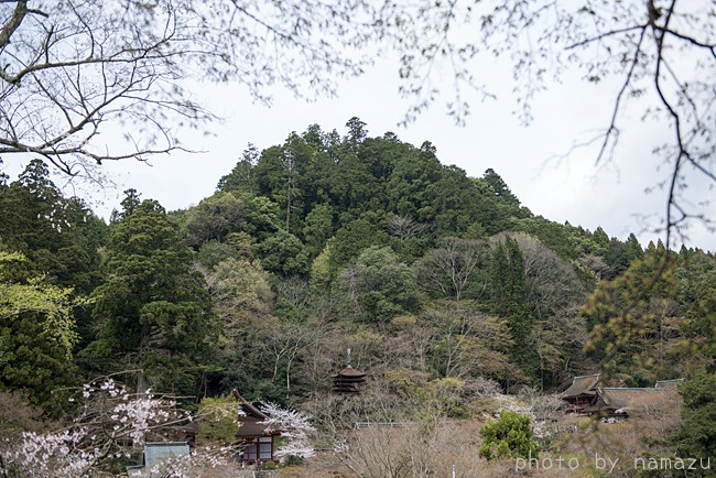 多武峰　談山神社_b0280176_9453196.jpg