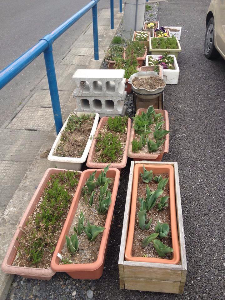 宮城県石巻市 仮設渡波北部第一団地_d0259876_22385872.jpg