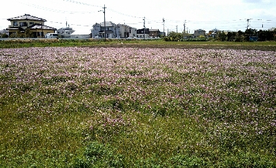 今日は汗だく_b0304979_23402366.jpg