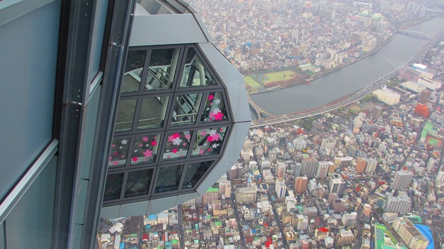 東京へ　④　最終日_a0242984_603491.jpg