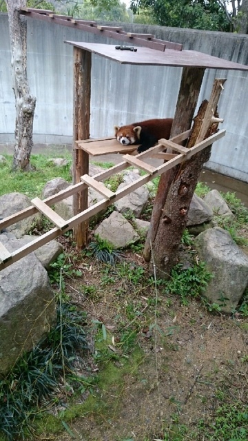 f0317485_13454674.jpeg