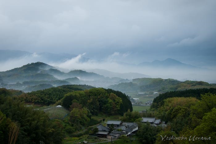 霧の風景_e0092186_15384751.jpg