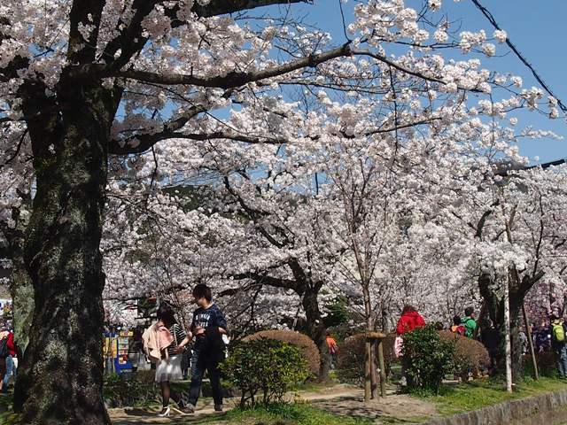 日帰り京都旅⑤東山駆け足観光_f0146587_23231432.jpg