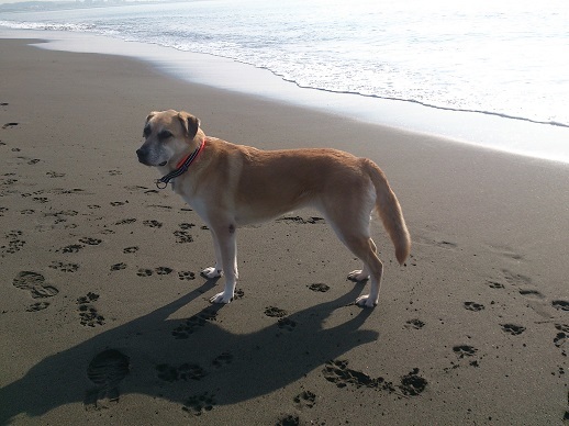 c0337990_20105656.jpg