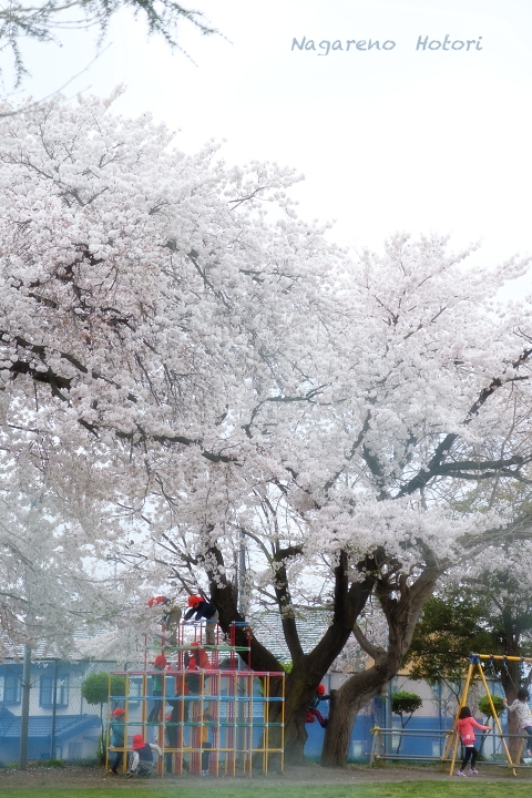 善光寺＆須坂臥竜公園_b0166896_2220038.jpg