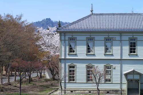 米沢キャンパスの桜は今日も満開　４月２２日（水）　晴れ　昼　（穀雨・初候）葦始めて生ず_c0075701_19254412.jpg