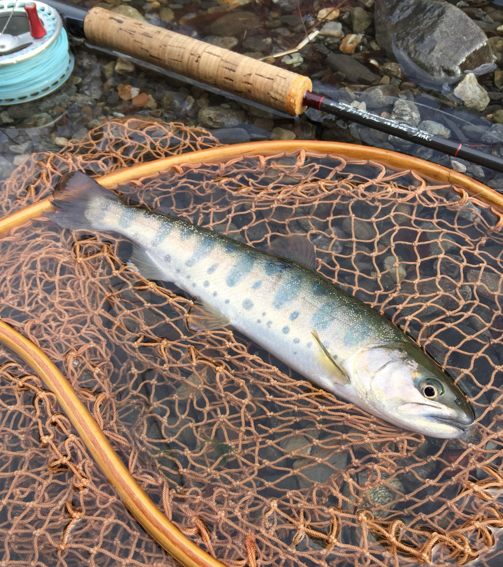 それでも釣れる神流川_c0095801_182828.jpg