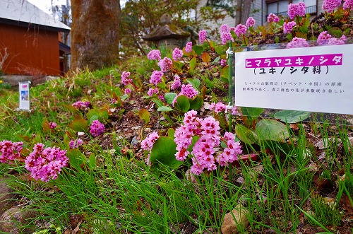 c0336902_17134612.jpg