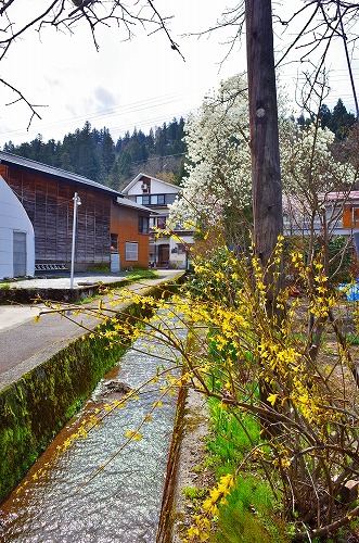 c0336902_1782674.jpg