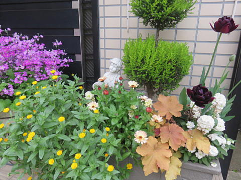 d0046702_452113.jpg
